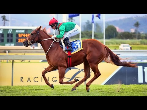Royal Pleasure - King's Pact Stakes (2015)
