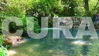 Download lagu Musica para Curar Todo o Corpo | Relaxar e Tranquilizar a Mente | Sons da Natureza mp3