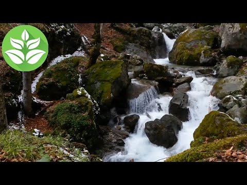 The sound of a mountain river 3. (White noise of a small stream)