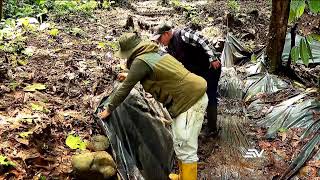 Video thumbnail image