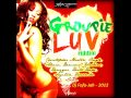 Groupie Luv Riddim Mix 2013 By Dancehall Kid ...