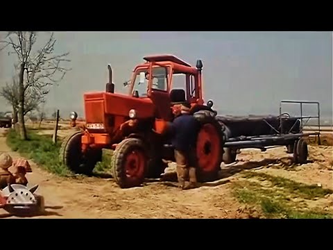 Mit Jan und Tini auf Reisen - Moderne Landwirtschaft