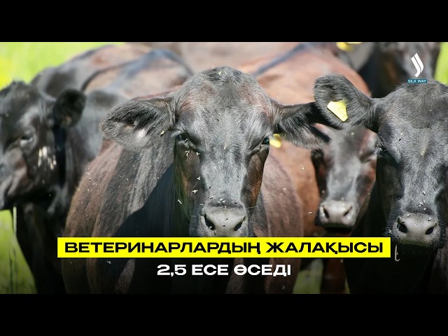 Ветеринарлардың жалақысы 2,5 есеге дейін өседі