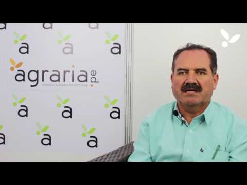 Entrevista a Nestor Mendoza Arroyo - Gobierno Regional de Ica