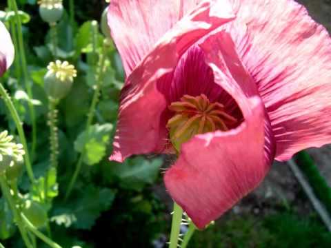 Bibel 2. Korinther 7 NGÜ