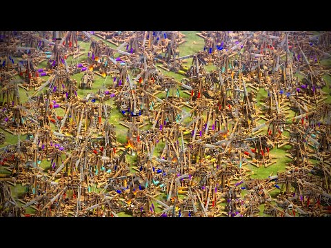 700 Trebuchet | AoE II: Definitive Edition