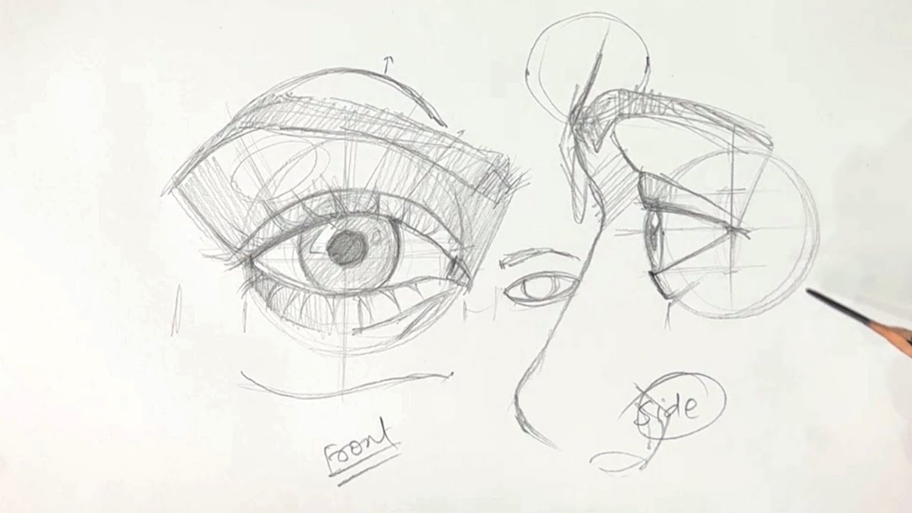 How to draw EYE for Beginners Step by step tutorial