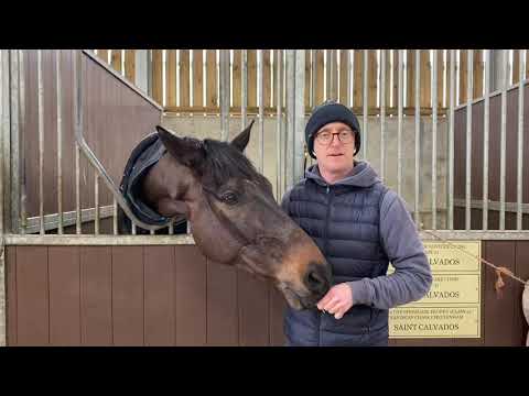 Harry Whittington & Saint Calvados ahead of The Festival