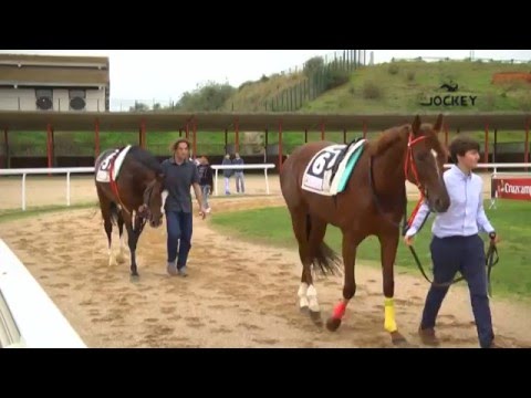 Resumen Jornada 10 de enero 2016 - Gran Hipódromo de Andalucía