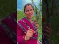 Ye To Meri Hai Shorts Viral Funny Trending Viralvideos