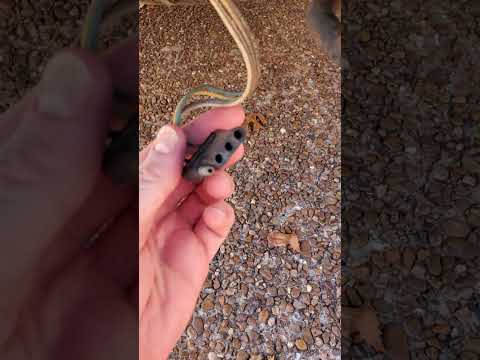Convert 4-Flat to 7-Way #trailer Wiring Quickly