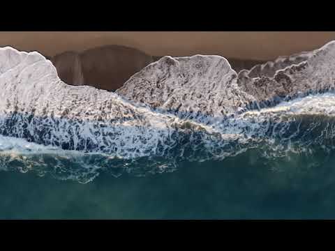 Rodrigo Leão - Jagoz