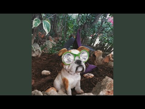 Salsero (feat. J.Fyah, Blond Fakir, Heser & Friza)