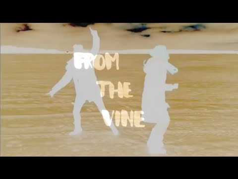 Dream Boat + Hope For Agoldensummer - From the Vine