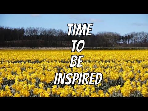 Inspired by Daffodils and Being Surrounded by Friends
