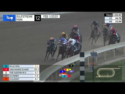 Gulfstream Park February 1, 2025 Race 12
