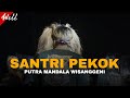 DJ BANTENGAN ️ PUTRA MANDALA WISANGGENI SANTRI PEKOK RemixerBy HELOS PRODUCTIONS