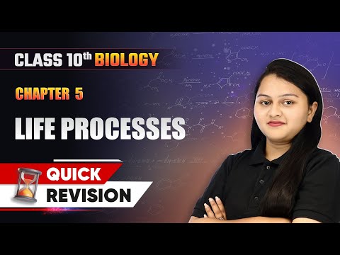 Chemical Reactions and Equations Quick Revision Class 10 Chemistry Chapter 1 CBSE 2024 25