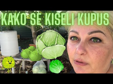🔴 Kiselenje kupusa na drugi - stari nacin 👌🏻🥬🧉🧂