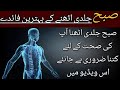 Subah Jaldi Uthne Ke Fayde In Urdu Hindi Subah Ki Sehar By Dr Aqsa Islamic