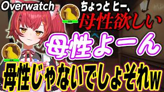 【ぶいすぽっ!】 OWのヒーラーで母性を出すねこたつ  【切り抜き】