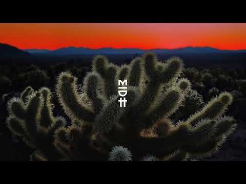 DJ Freespirit - Vision (Hanna Hais Donkela Remix) (MIDH Premiere)