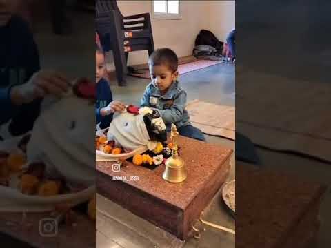 Vihaan Sharma  shiv bhakt 