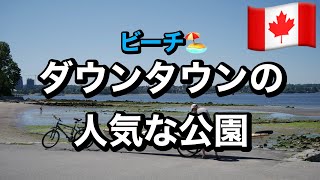 【バンクーバー】人気ビーチのスタンレーパークで泳いできた