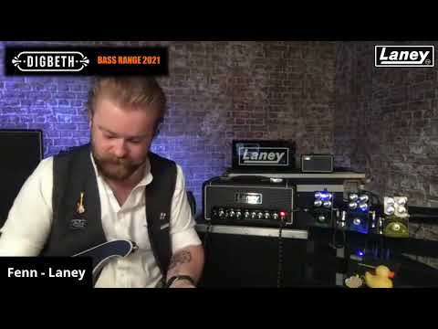 Laney DB500H DIGBETH Series 500-Watt RMS Bass Amplifier Head image 5