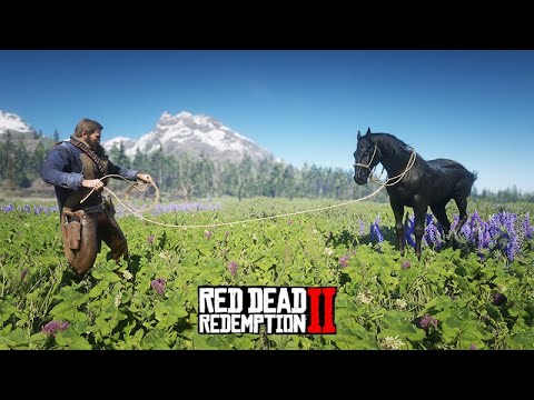 Taming the Black Horse - American Standard Breed all black - Red Dead Redemption 2