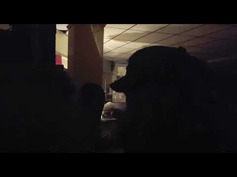 JAH SHAKA RETURNS FROM JAMAICA & PLAYS ITS NOT A CRIME DANNY RED JAH WAGGYS LABEL 1 4 2017