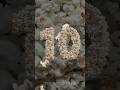 Numbers 10 To 1 In 10 Fonts Episode 2 Countdown Timer Shorts