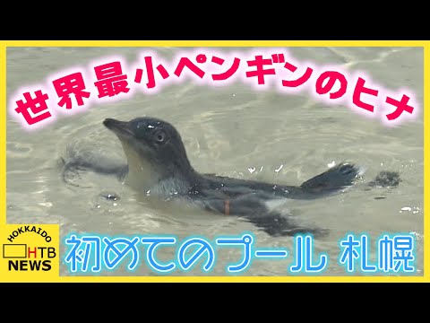 AOAO SAPPORO」のYahoo!リアルタイム検索 - X（旧Twitter）を
