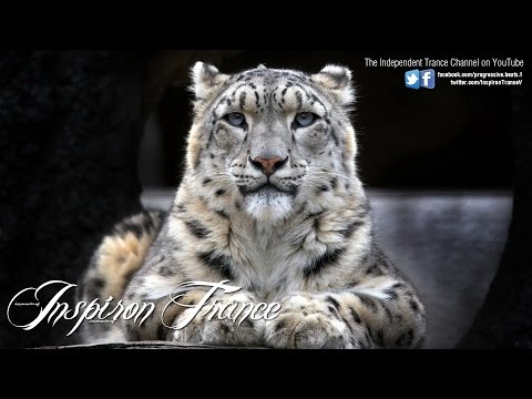 Susana & Shogun - Only You (from the album 'Brave')  [ASOT 563]