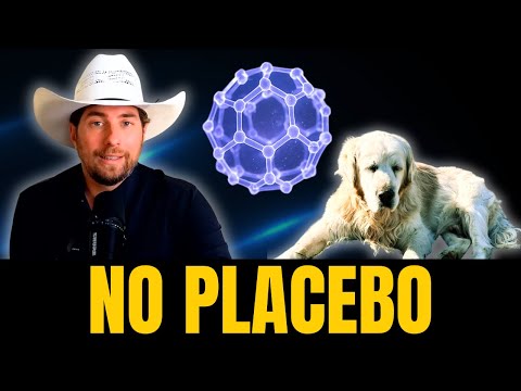 This Molecule Gave Us 2 Extra Years With Our Dog - No Placebo