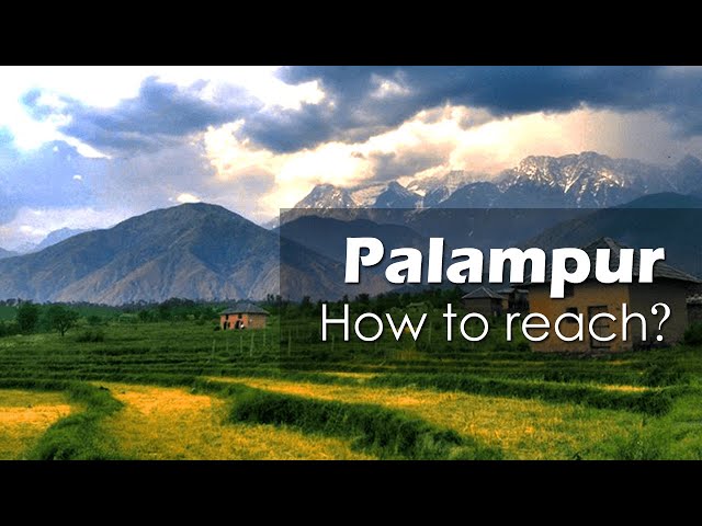 Palampur'