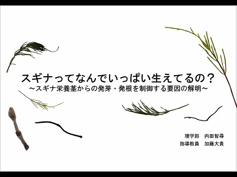 第23回愛媛大学学生による調査・研究プロジェクト（プロジェクトE）【優良賞】②