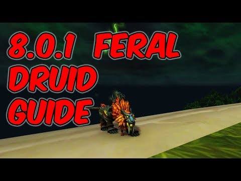 8.0.1 Feral Druid Basic Guide - WoW BFA 8.0.1