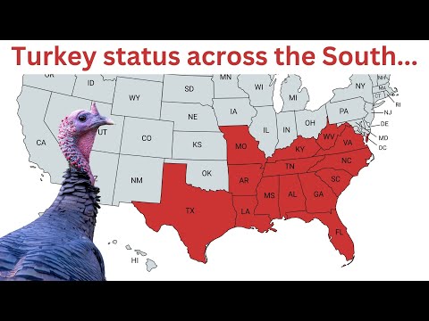 What we learned at Turkey Working Group 2024 | Ep 85