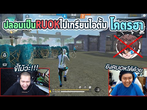 ฟีฟาย ruok