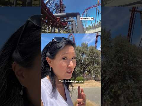 Six Flags coaster linked to serious brain injuries, death