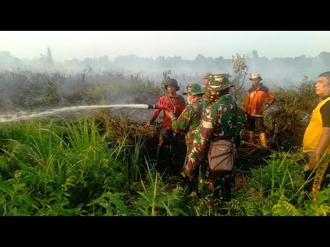 Indonesia forest fires continue to burn | AFP