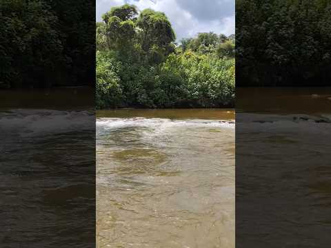 Río das almas#pirenopolis Go