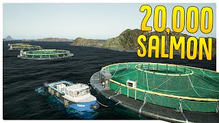 Getting Rich Growing & Selling Salmon in Ships at Sea