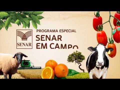 SENAR em Campo: Administração Rural - Gestão de Empresas Rurais