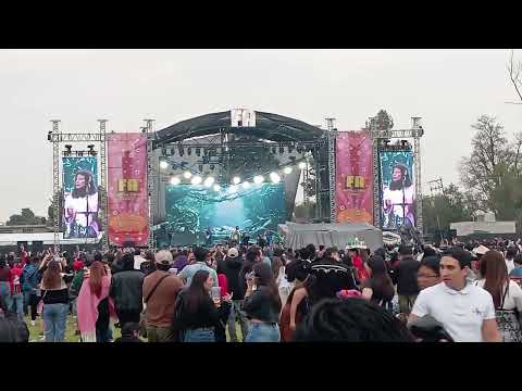 Liquits // Chícharos Mágicos (Festival Amigo 2025)