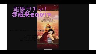 【トレクル】トレマ報酬ガチャ！赤紙来るのか！？【ぬま】