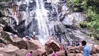 preview picture of video 'Bee Fall Pachmarhi - Madhya Pradesh'