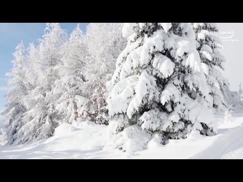 «НАСТОЯЩАЯ ЗИМА» Потрясающая, очень красивая зимняя музыка Сергея Чекалина! Очень нравится для души!