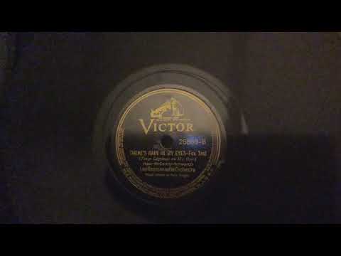 There's Rain In My Eyes   Leo Reisman